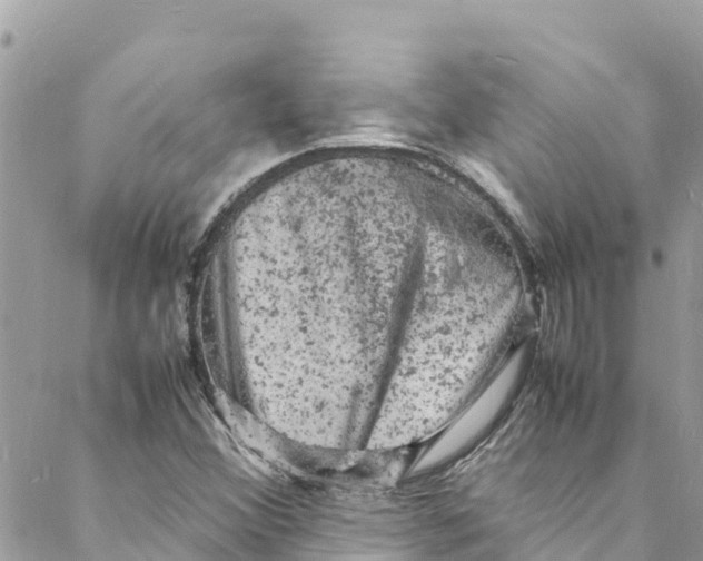 X0000088031356200706011339