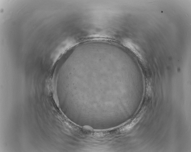 X0000088031357200706011339