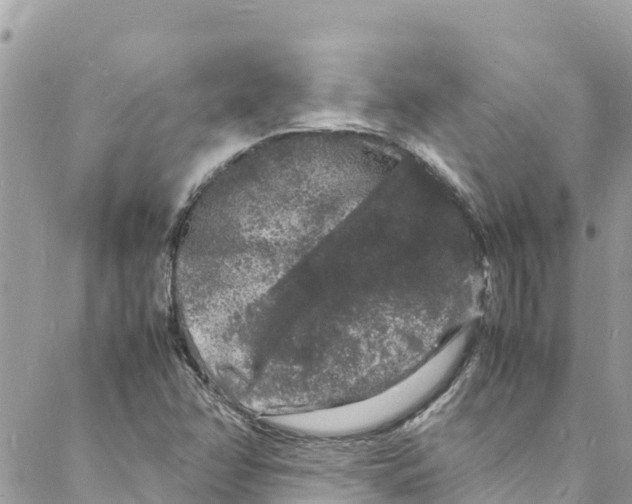 X0000088031358200706011339