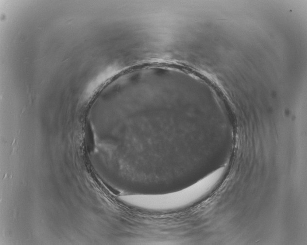 X0000088031359200706011339