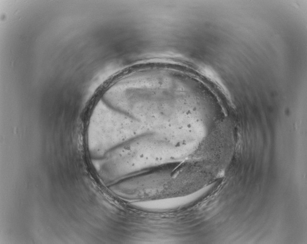 X0000088031360200706011339