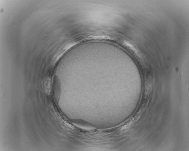 X0000088031361200706011339