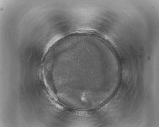 X0000088031362200706011339