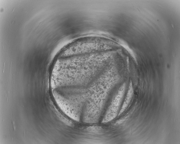 X0000088031368200706011339