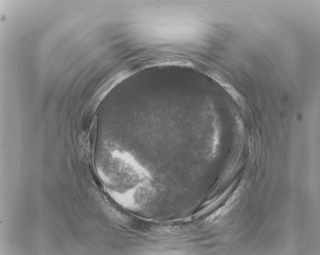 X0000088031369200706011339