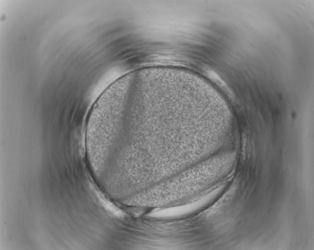 X0000088031370200706011339