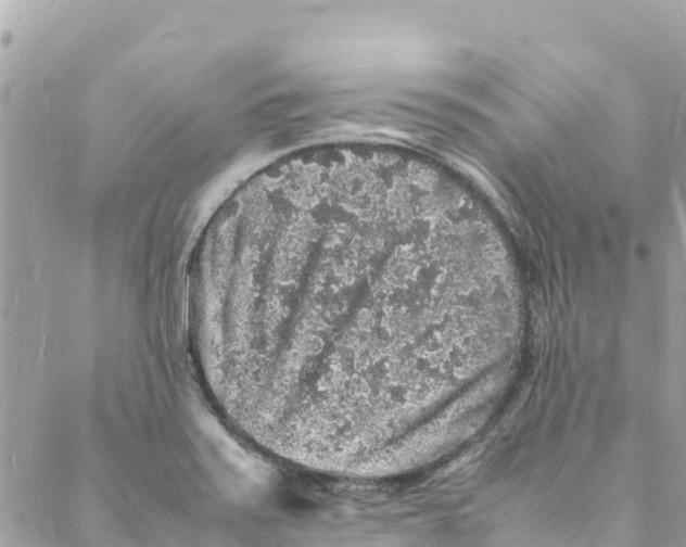 X0000088031371200706011339