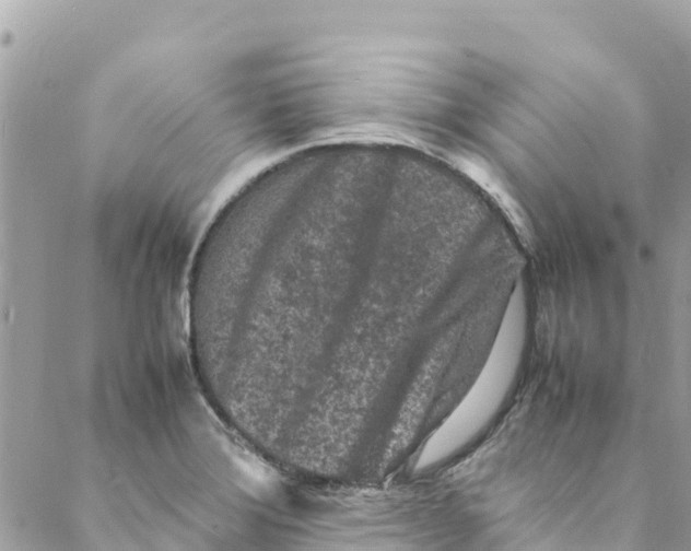 X0000088031372200706011339