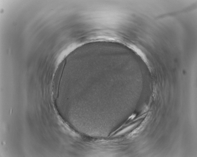 X0000088031373200706011339