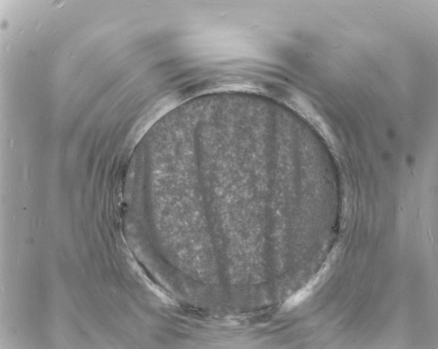 X0000088031377200706011339