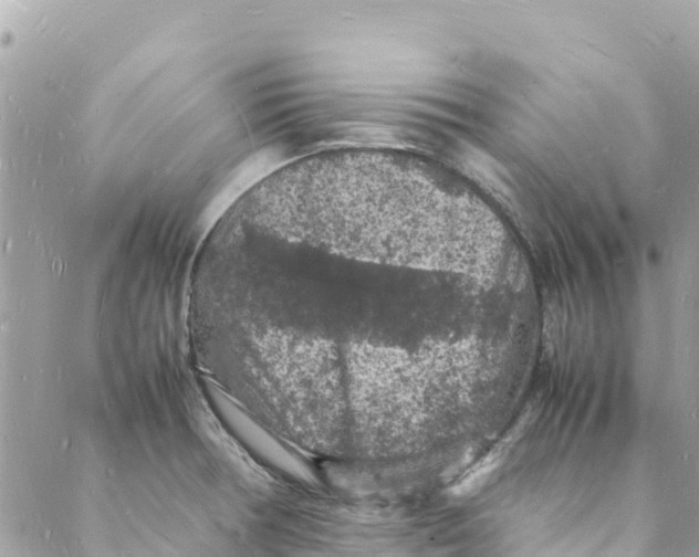 X0000088031378200706011339