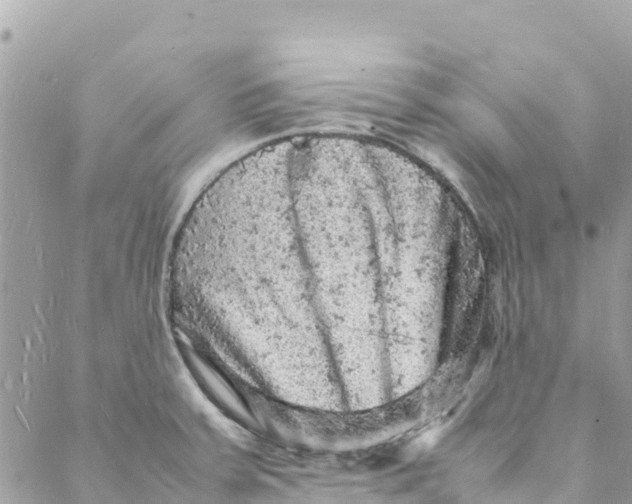 X0000088031379200706011339