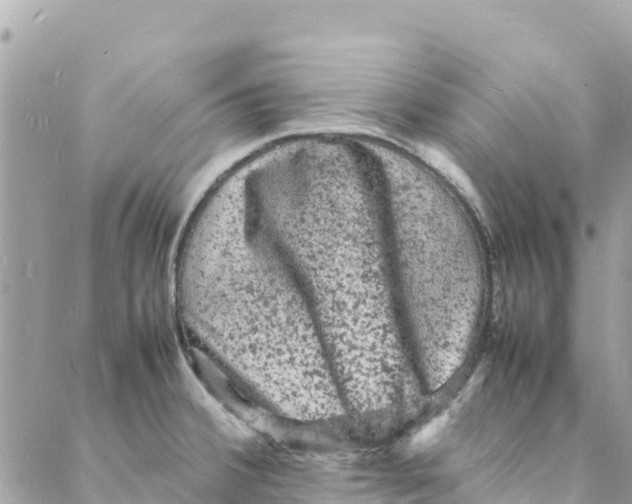 X0000088031380200706011339