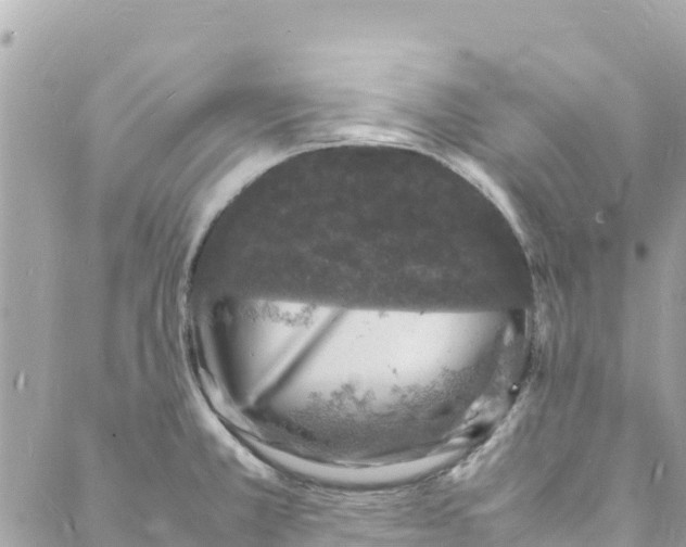 X0000088031381200706011339