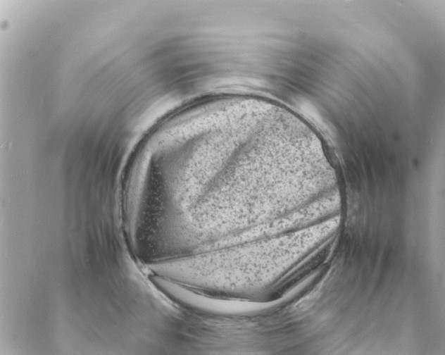 X0000088031384200706011339