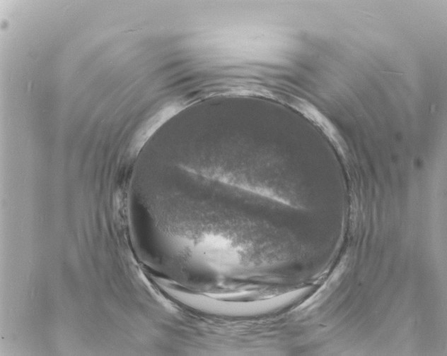 X0000088031385200706011339