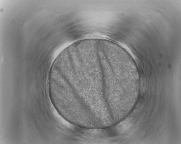 X0000088031387200706011339