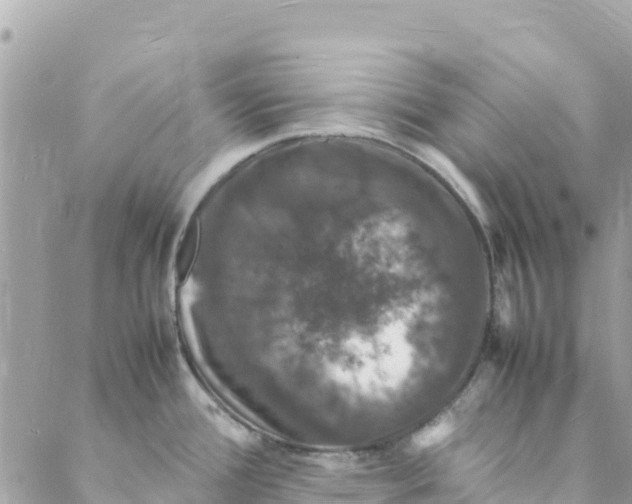 X0000088031388200706011338