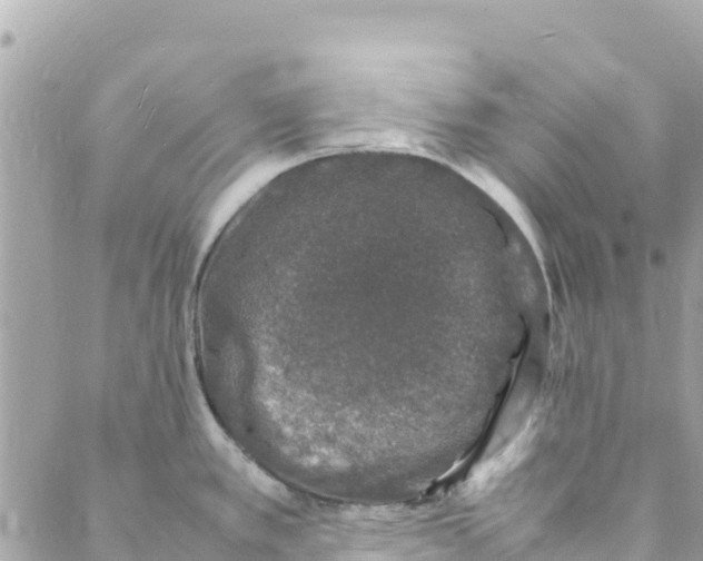 X0000088031389200706011338