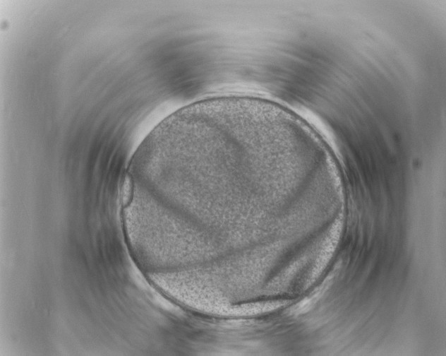 X0000088031390200706011338