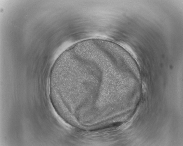 X0000088031391200706011338