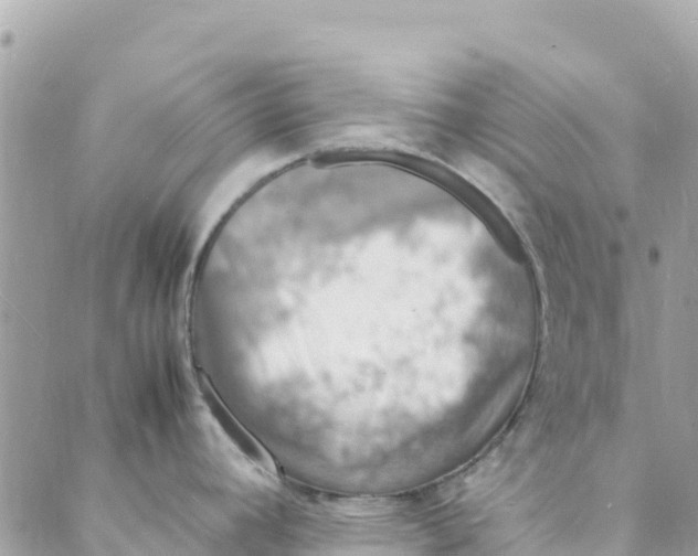 X0000088031392200706011338