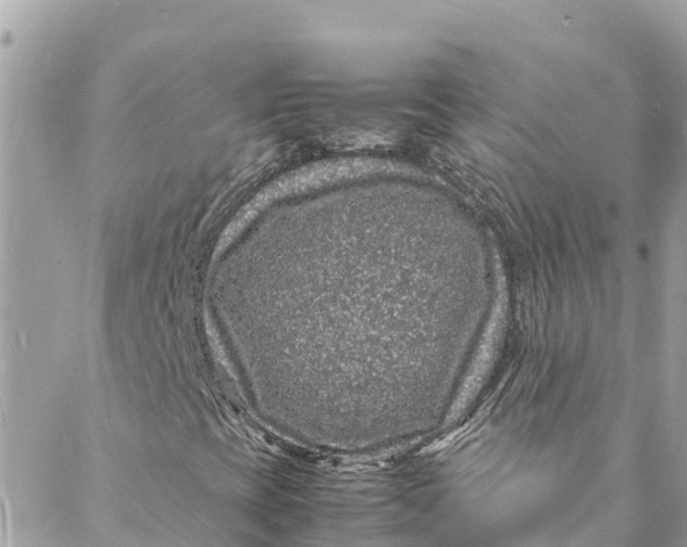 X0000088031393200706011338