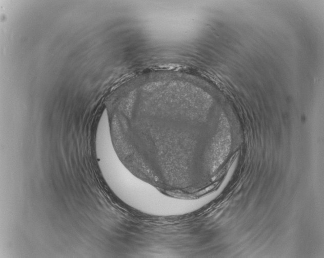 X0000088031394200706011338