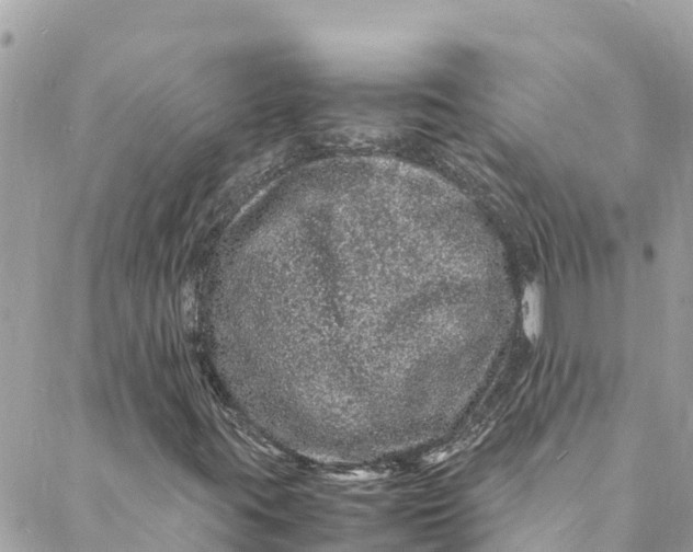 X0000088031395200706011338