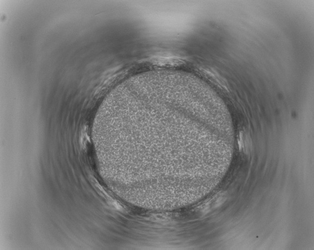 X0000088031396200706011338