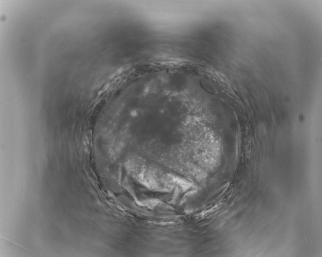 X0000088031397200706011338