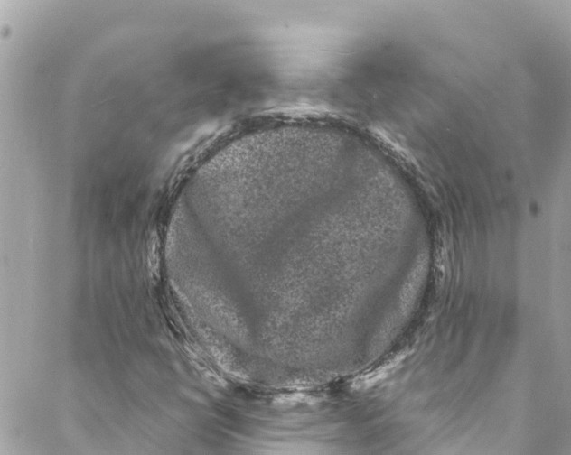 X0000088031398200706011338