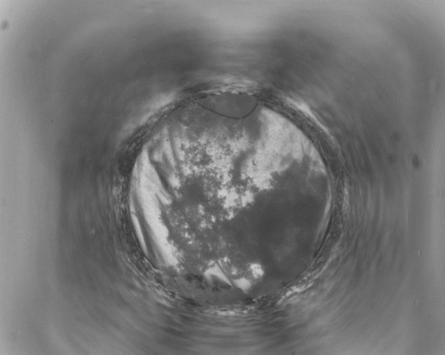 X0000088031399200706011338