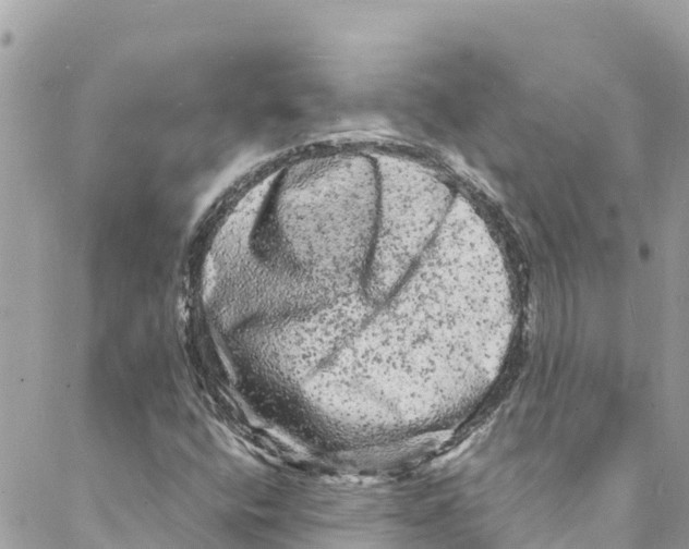 X0000088031400200706011338