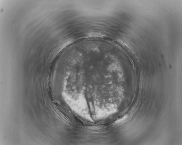 X0000088031401200706011338