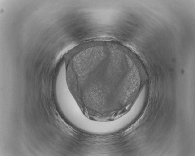 X0000088031402200706011338