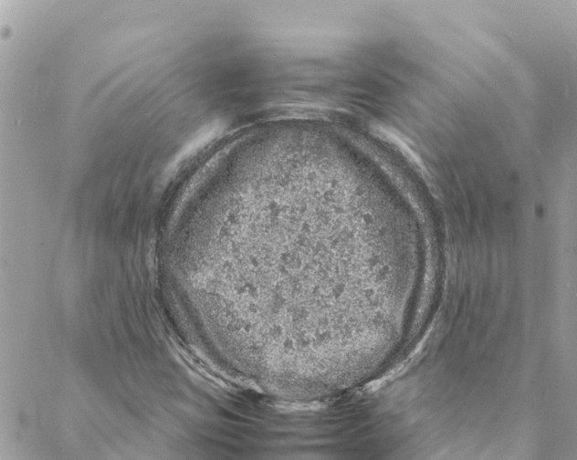 X0000088031403200706011338