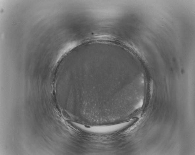 X0000088031405200706011338