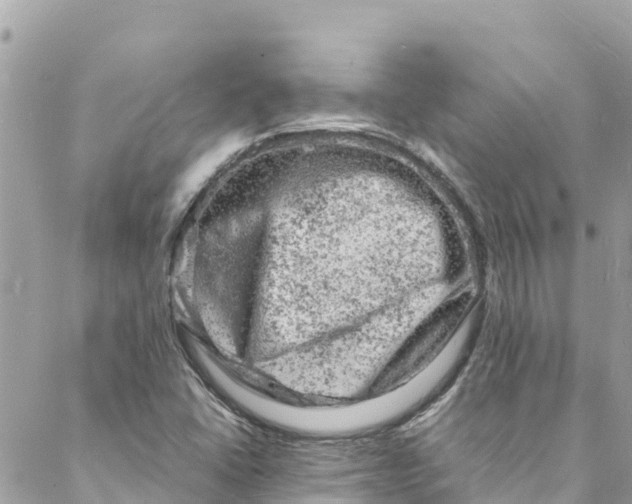 X0000088031406200706011338