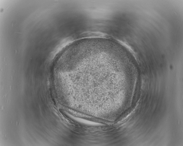 X0000088031407200706011338