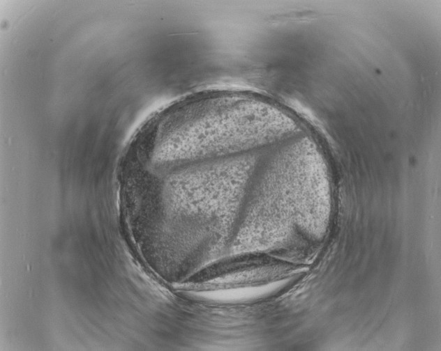 X0000088031408200706011338