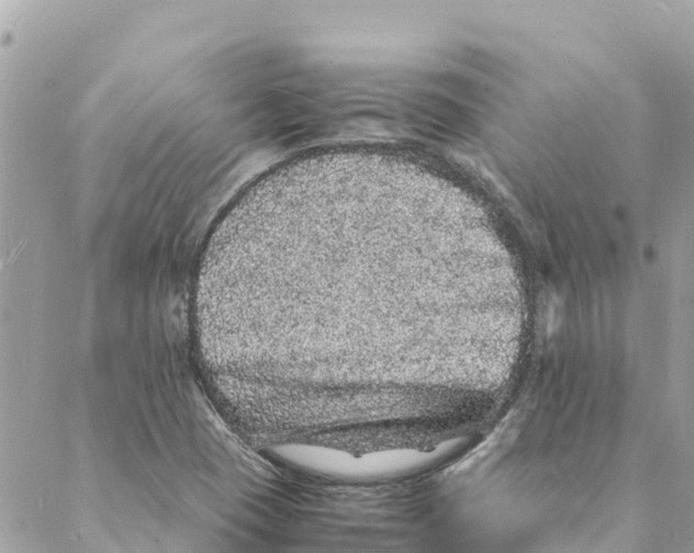 X0000088031409200706011338