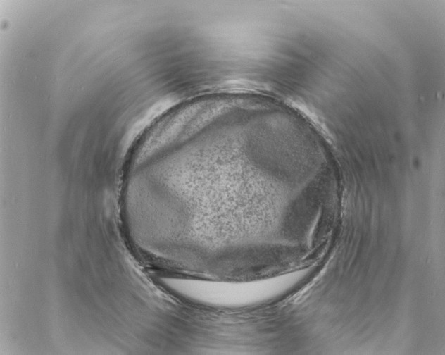 X0000088031410200706011338