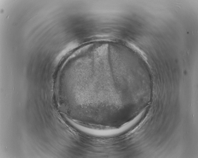 X0000088031411200706011338