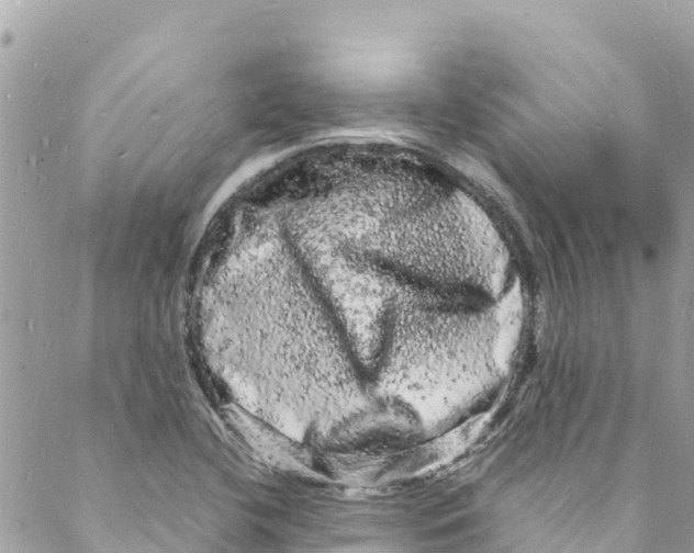 X0000088031412200706011338