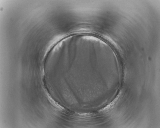 X0000088031413200706011338