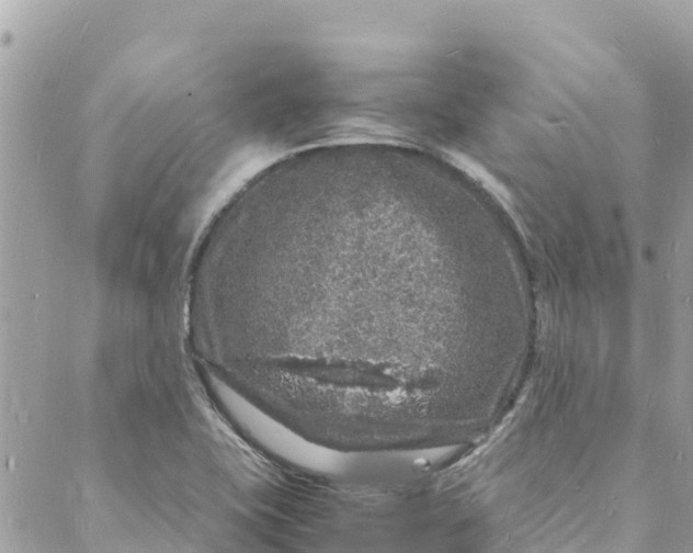 X0000088031415200706011338