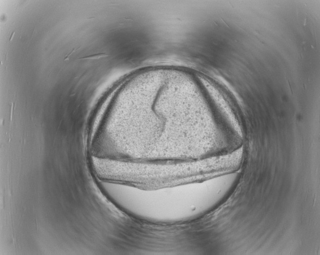 X0000088031416200706011338