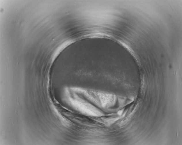 X0000088031418200706011338