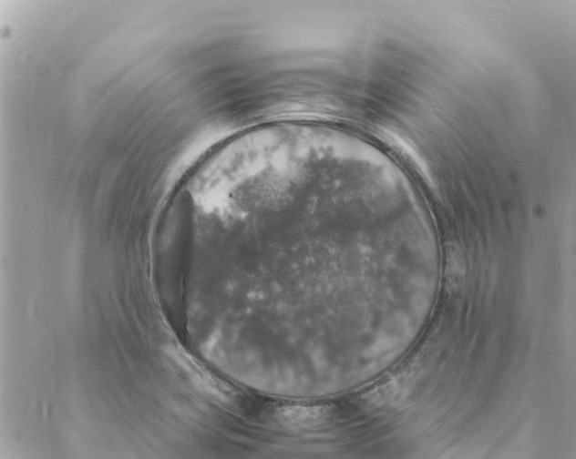 X0000088031419200706011338